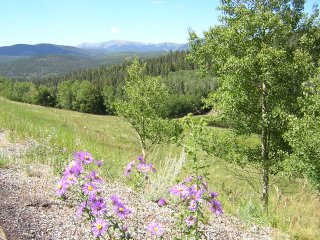 Aug 2004, New Mexico