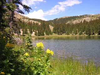 Aug 2004, Latir Peak, NM