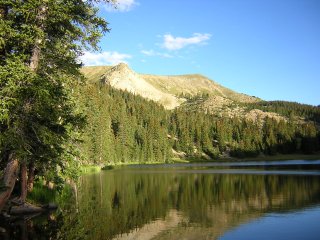 Aug 2004, Latir Peak, NM