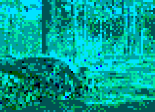 bark beetle vision
