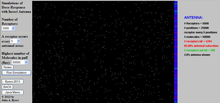 Modeling antennal saturation