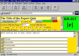Netscape view of Expert Quiz