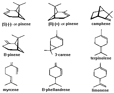 Fig. 4 - Host tree monoterpenes