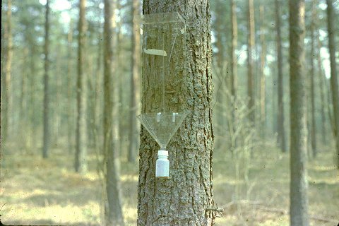 Trap window sales