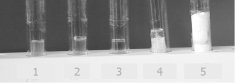 Sol-gels for Dispensing Semiochemicals in Field