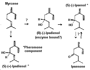 Fig. 8