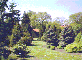 host trees